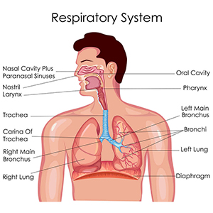 BIOLOGY LAB EQUIPMENTS