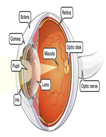 Eye Chart