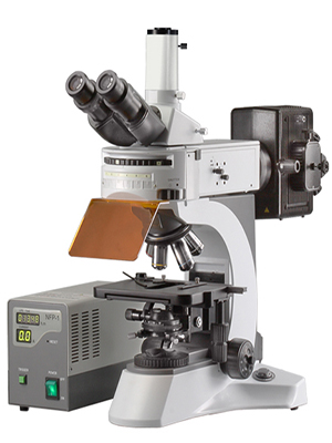 Fluorscent Microscope