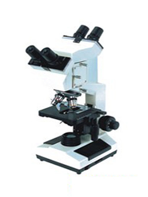 Multi Viewing Microscopes