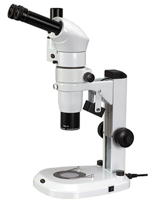 Stereo Microscope